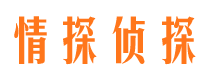 南湖外遇出轨调查取证